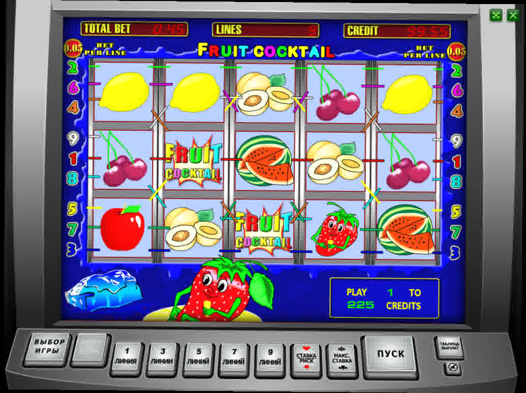 Book of ra online casino echtgeld